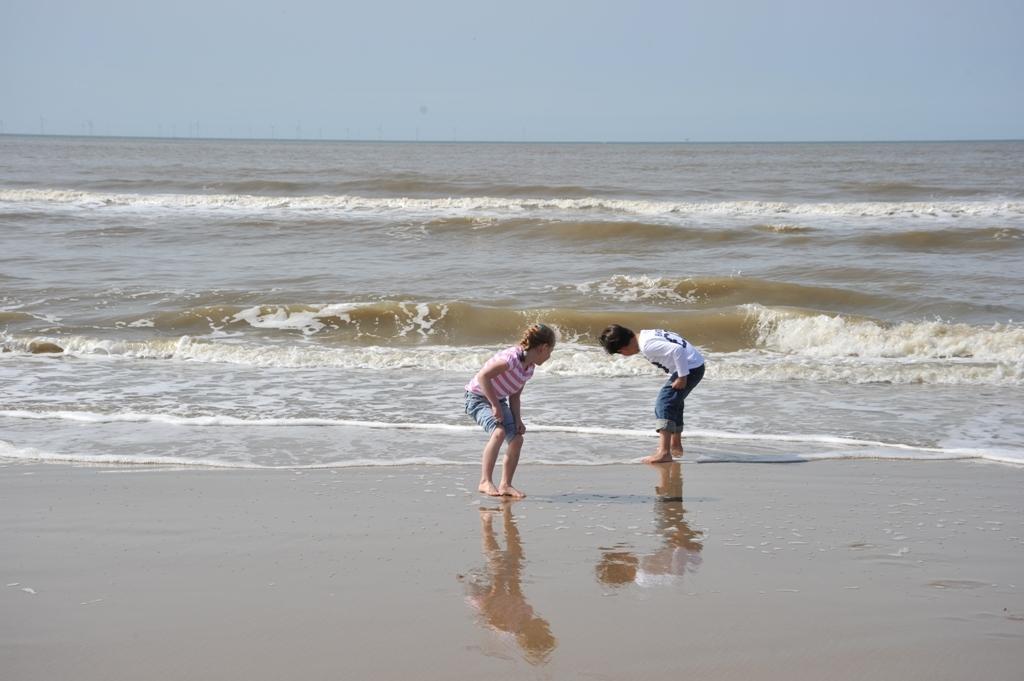 Appartementen Natuurlijk Egmond aan Zee Quarto foto